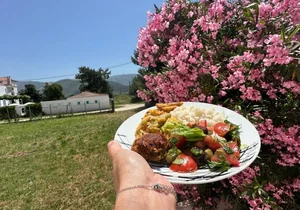 Сатвічна кухня